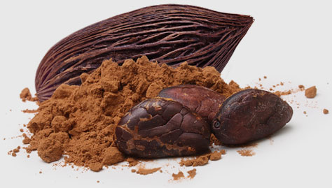 cacao maigre et cacao cru